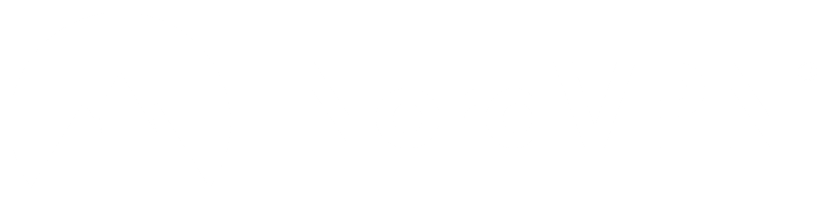 NordVPN_Logo_RGB_Primary_White